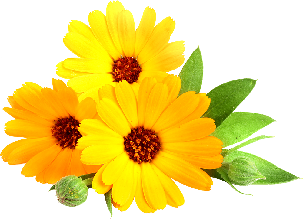 shutterstock_734767414